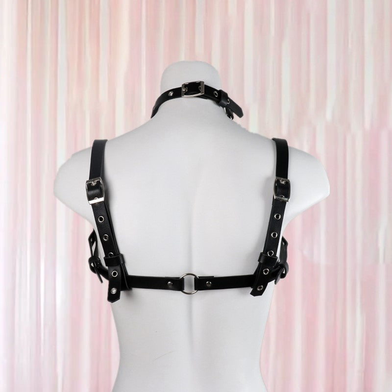 Delicate Domme Harness